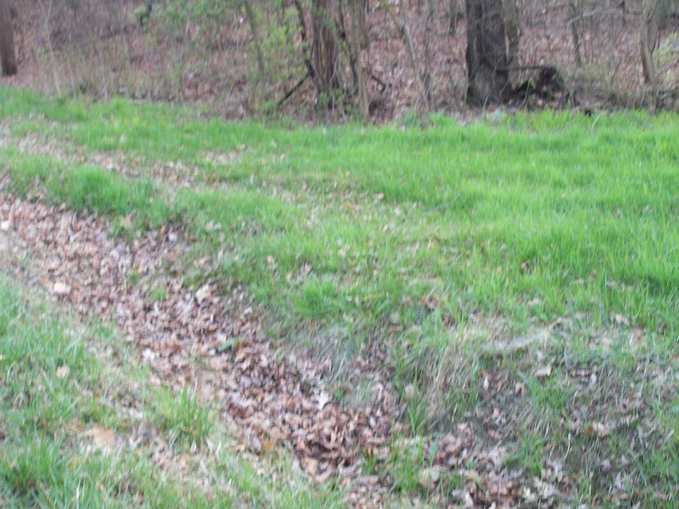 2nd image of Chilhowee School Rd