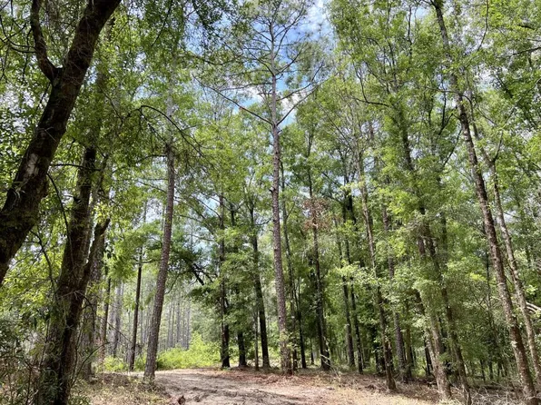 0 Hollingsworth Rd, Bay Minette, AL 36507