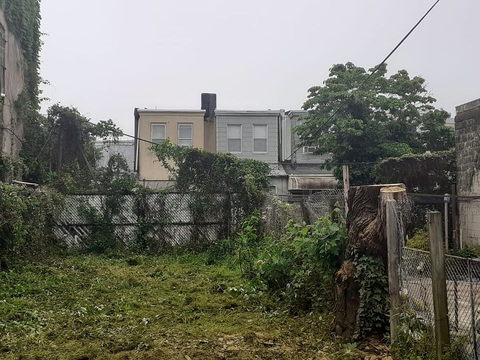 Backyard summer 2025