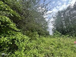 3rd image of 0 River Front Dr Lot 7
