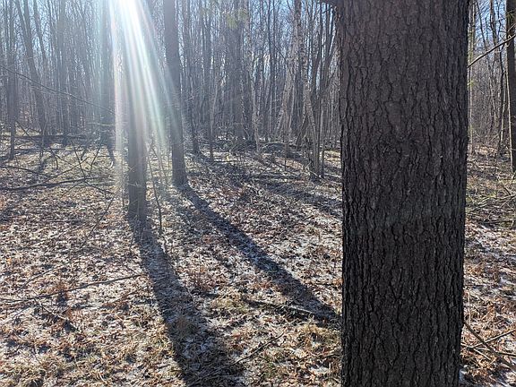 5th image of 0 East Rd