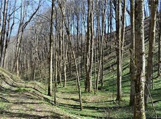 99999 Spillcorn Rd, Marshall, NC 28753