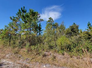 0 Brown Rd, Lee, FL 32059