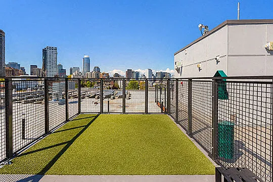 Jack Apartments — Photo 9