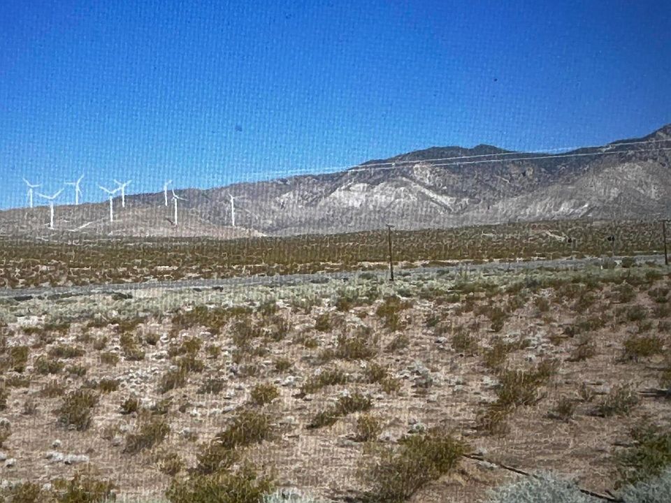 2nd image of Avenue 8