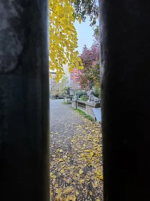 Rented by Bond New York | media 3