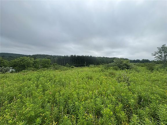 4th image of Vl County Rte Lot 2-46