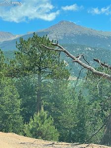 L8 Horseshoe Dr, Divide, CO, 80814