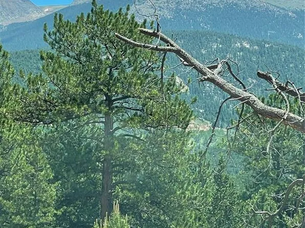 L8 Horseshoe Dr, Divide, CO 80814