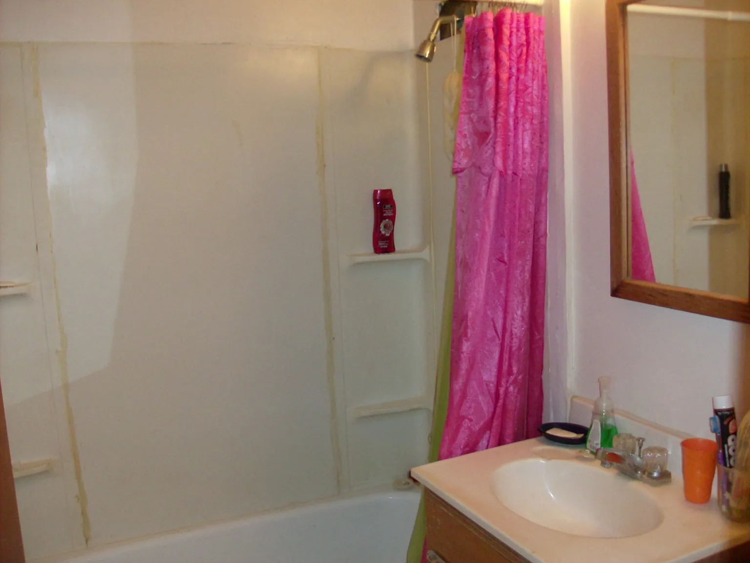 2 bed, $880 — Photo 3