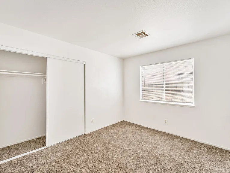 4904 Spring Falls Way — Photo 19