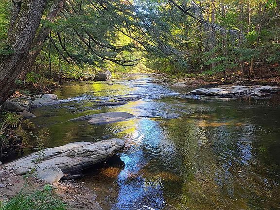 5th image of 4669 Vermont Rte 100 Route