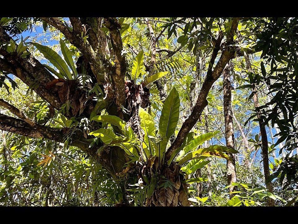 1st image of Ohiki St Lot 1474