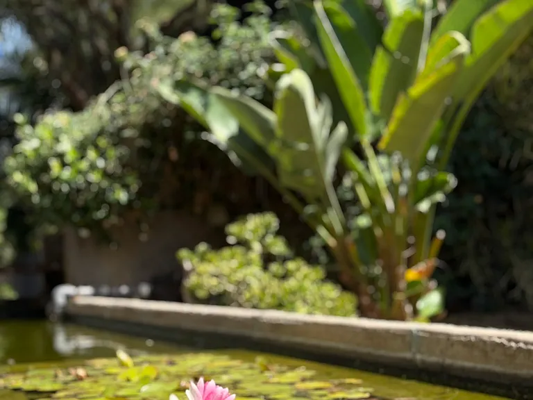 Lacy Studio Lofts — Photo 13