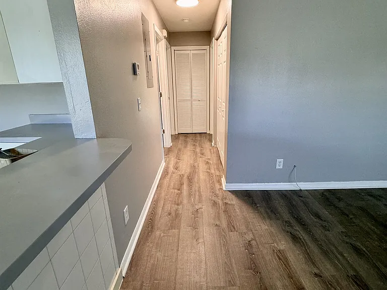 1702 Palmetto Ct — Photo 4