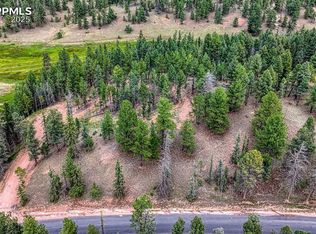 18 Falcon Cir, Florissant, CO 80816