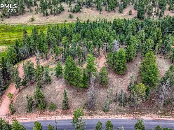 18 Falcon Cir, Florissant, CO 80816