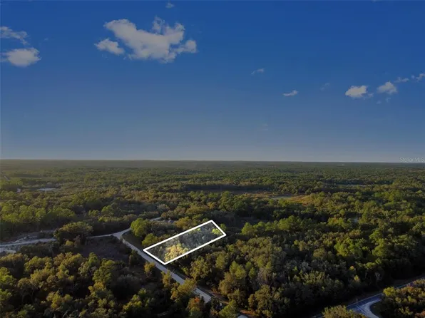 Riverstone St Lot 7, Webster, FL 33597