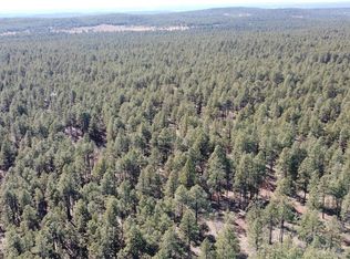 41 McGaffey Pnes, Fort Wingate, NM 87316