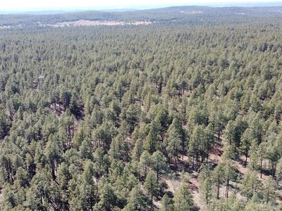 41 McGaffey Pnes, Fort Wingate, NM, 87316