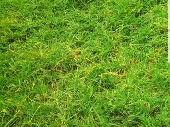 165 W Main St, High Bridge, NJ 08829