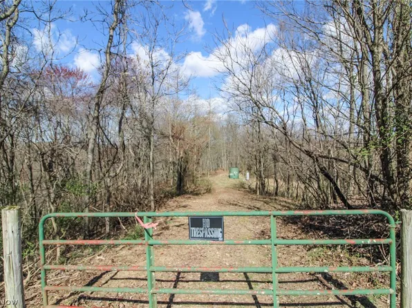 Shay Ridge Rd, New Matamoras, OH 45767