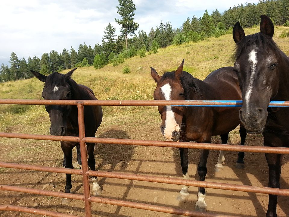 2nd image of 0 Twin Pines Ln