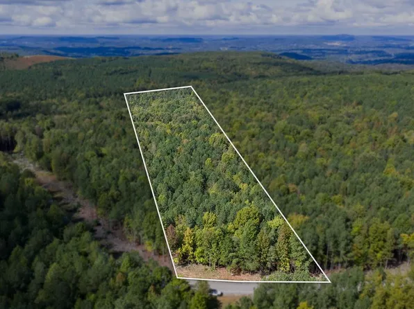 60 Topside Dr, Spencer, TN 38585