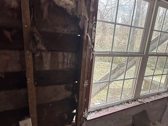 4th image of 3305 Franor St