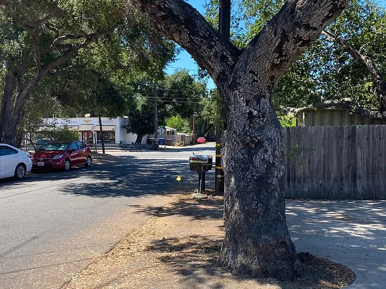 Alvarado — Photo 13