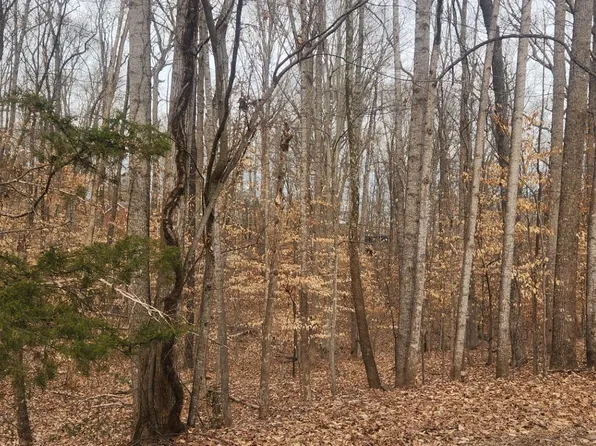 0 Thrush Ct, Palmyra, VA 22963