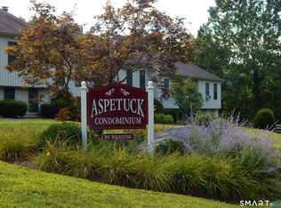 117 Aspetuck Vlg #117, New Milford, CT 06776