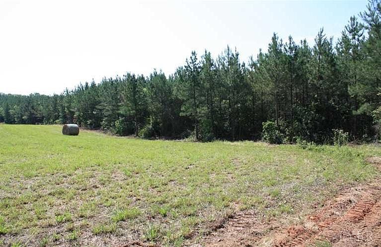 2nd image of 0 Lewis Ford Rd