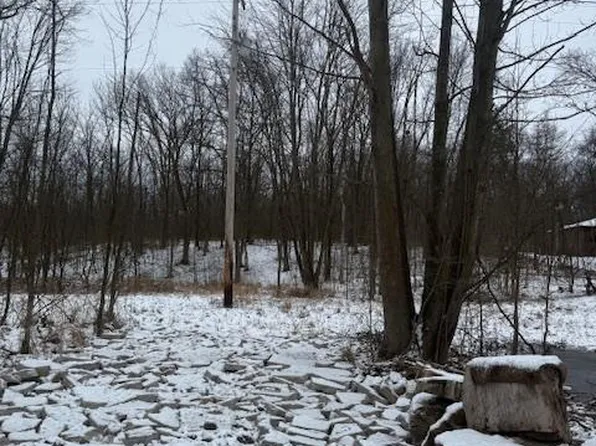 0 Williams Rd, Gaines, MI 48436