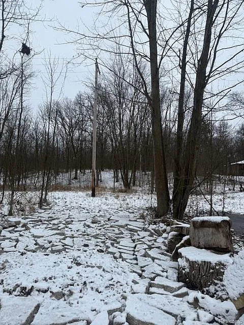 0 Williams Rd photo 1
