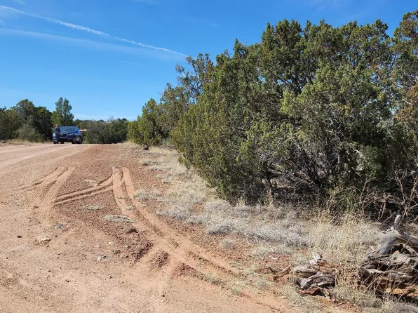 8527 CANNON Boulevard #60, Show Low, AZ 85901
