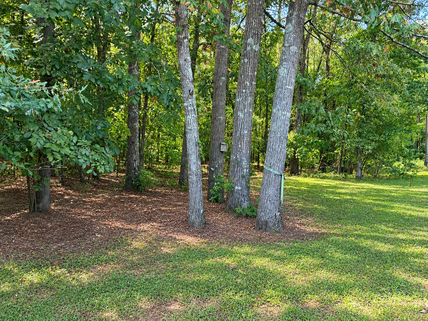 Charming 4-Bedroom Home with Spacious Yard in a Peaceful Country Setting — Photo 3
