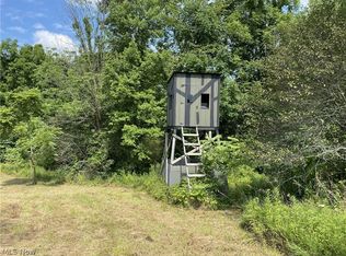 Zane Rd, Lore City, OH 43755