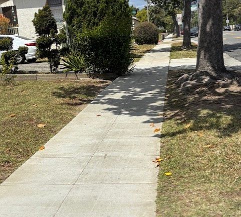 5th image of 909 S Almansor St