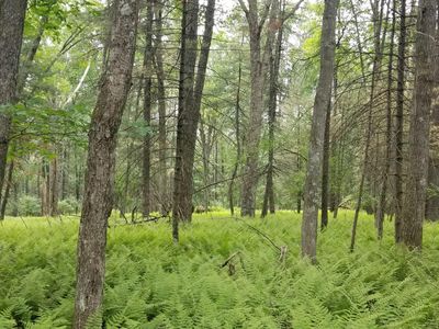 99 Fawn Lake Dr, Hawley, PA, 18428