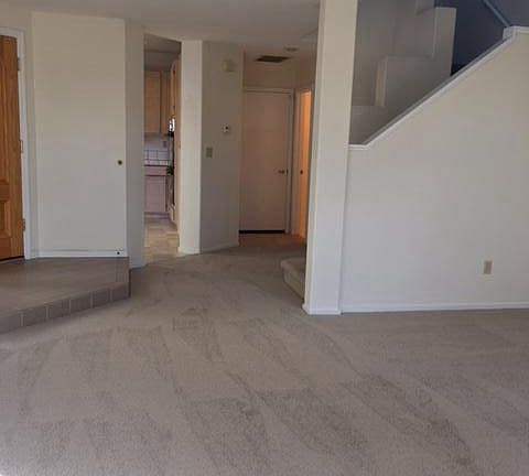 downstairs new carpet