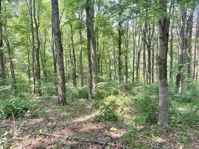 546 Edgehill Cir, Logan, OH, 43138