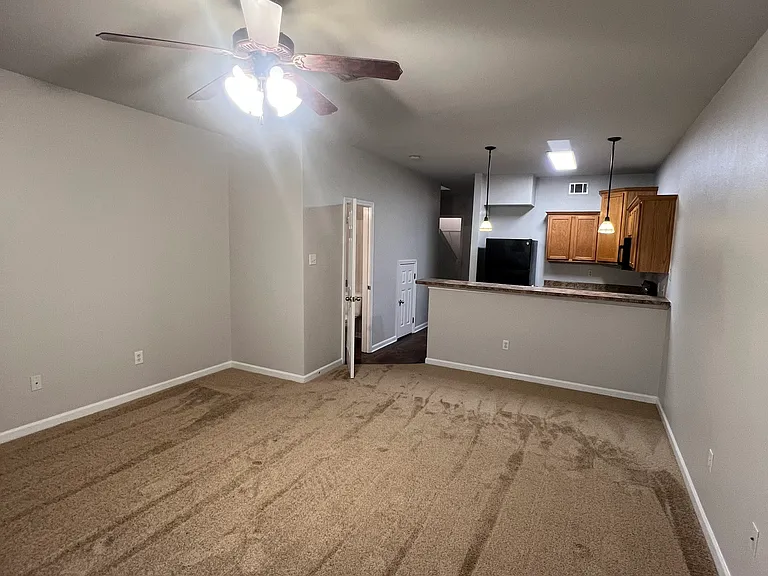 1900 Carrollwood Dr #3 — Photo 21