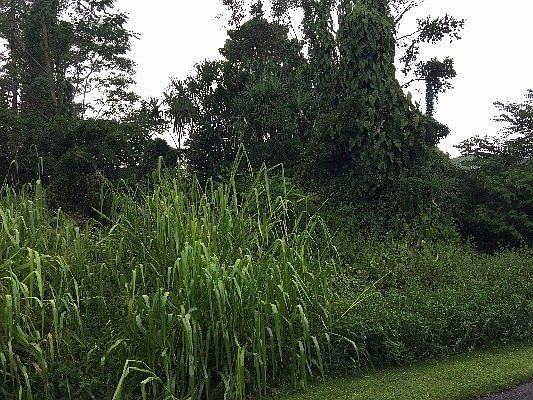 4th image of Manini St Lot 1142