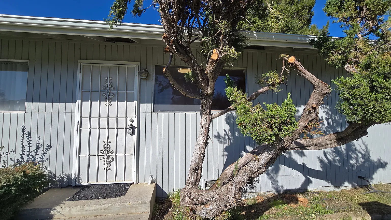 8224 Crane Rd APT D photo 1