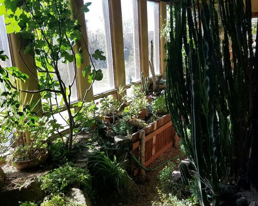 Interior garden