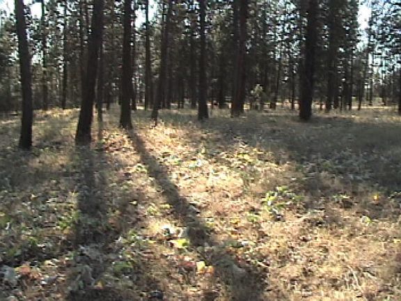 3rd image of Hwy 291