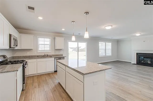 1041 Crescent Corner Dr — Photo 7
