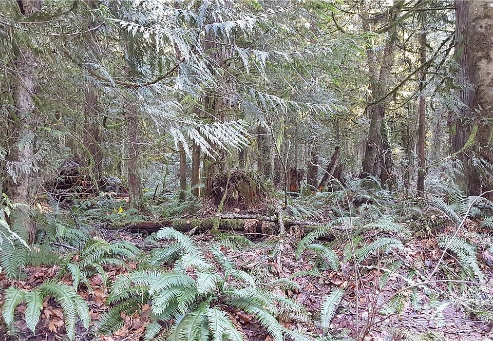 1st image of 29 NE 62nd Pl