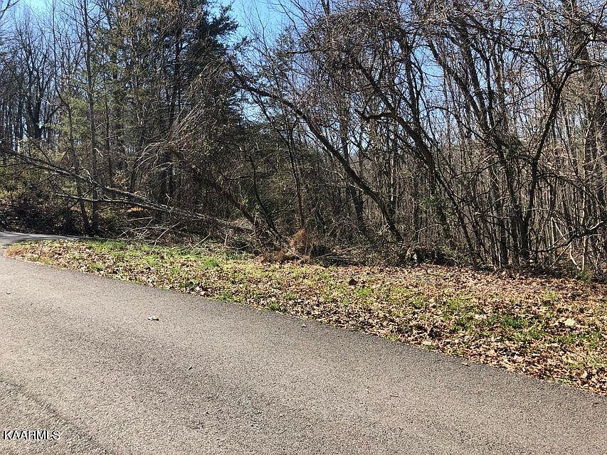 2nd image of Skyline Ln